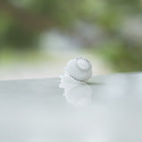 District F5VE - Kupcake 22MM